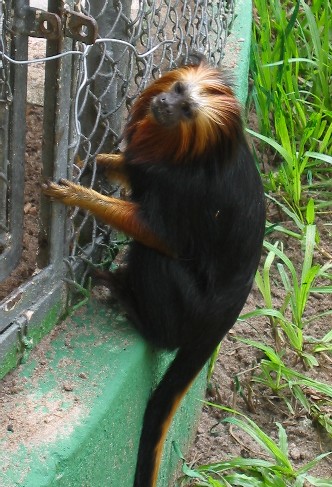 2002_12_29 023 Small.jpg, 1/17/2003, 72 kB